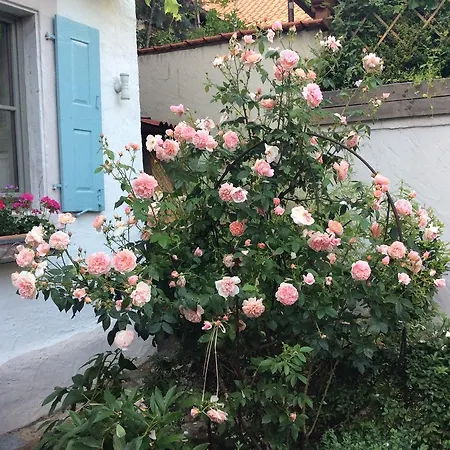 Haus Flair Sommerach